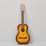 501480 Guitar
